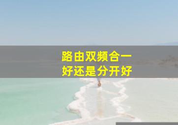 路由双频合一好还是分开好