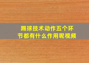 踢球技术动作五个环节都有什么作用呢视频