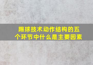 踢球技术动作结构的五个环节中什么是主要因素