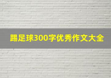 踢足球300字优秀作文大全