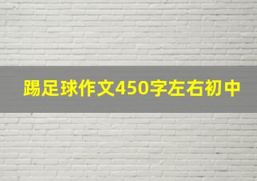 踢足球作文450字左右初中