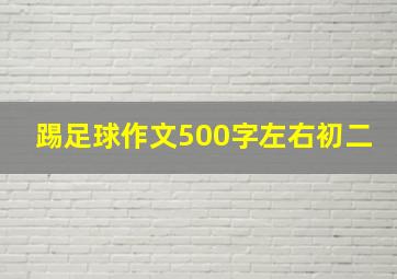 踢足球作文500字左右初二