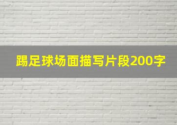 踢足球场面描写片段200字