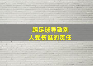 踢足球导致别人受伤谁的责任