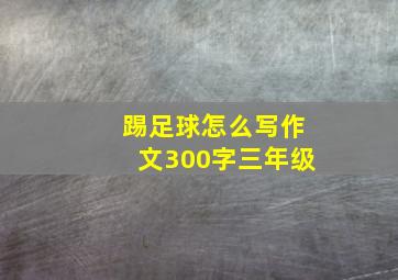 踢足球怎么写作文300字三年级