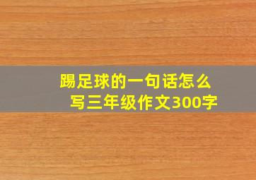 踢足球的一句话怎么写三年级作文300字