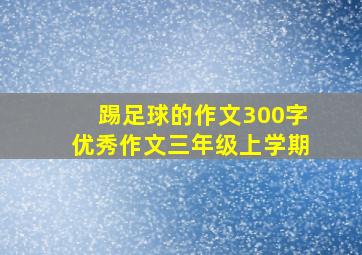 踢足球的作文300字优秀作文三年级上学期