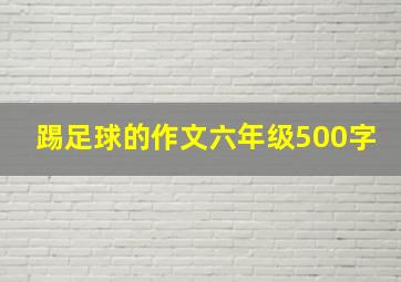 踢足球的作文六年级500字