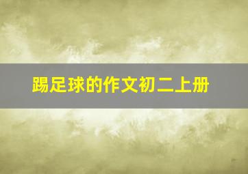 踢足球的作文初二上册