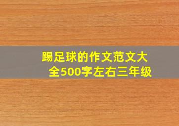 踢足球的作文范文大全500字左右三年级