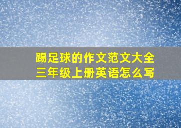 踢足球的作文范文大全三年级上册英语怎么写