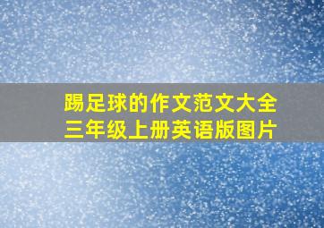 踢足球的作文范文大全三年级上册英语版图片