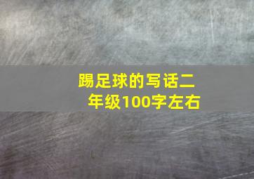 踢足球的写话二年级100字左右