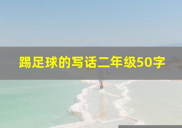 踢足球的写话二年级50字