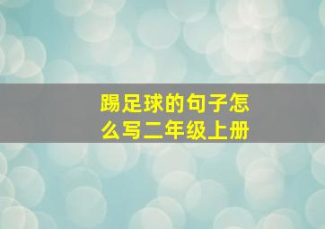 踢足球的句子怎么写二年级上册