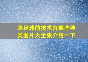 踢足球的技术有哪些种类图片大全集介绍一下