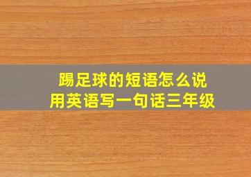 踢足球的短语怎么说用英语写一句话三年级