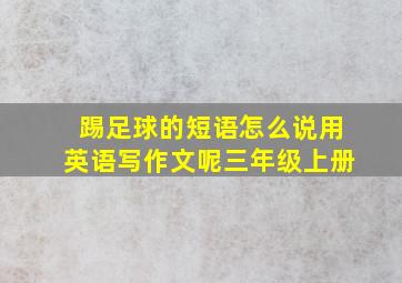 踢足球的短语怎么说用英语写作文呢三年级上册