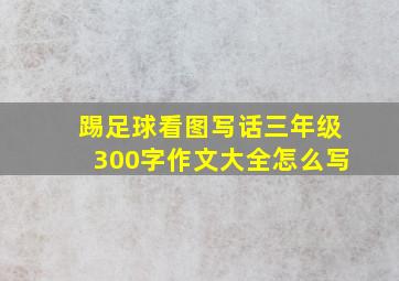 踢足球看图写话三年级300字作文大全怎么写