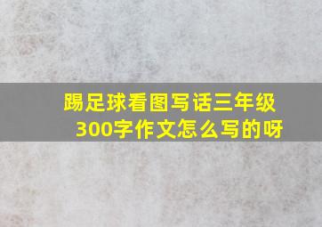 踢足球看图写话三年级300字作文怎么写的呀