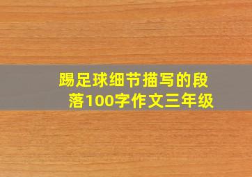 踢足球细节描写的段落100字作文三年级