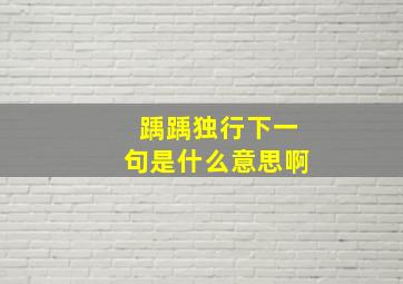 踽踽独行下一句是什么意思啊