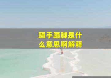 蹑手蹑脚是什么意思啊解释