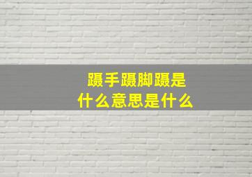 蹑手蹑脚蹑是什么意思是什么