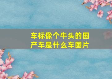 车标像个牛头的国产车是什么车图片