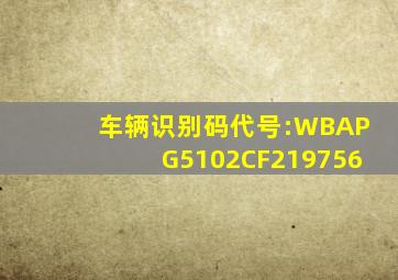 车辆识别码代号:WBAPG5102CF219756