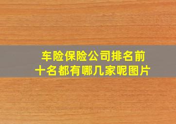 车险保险公司排名前十名都有哪几家呢图片