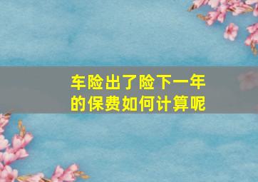 车险出了险下一年的保费如何计算呢