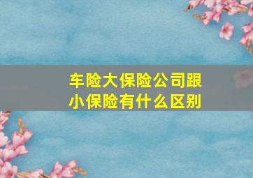 车险大保险公司跟小保险有什么区别