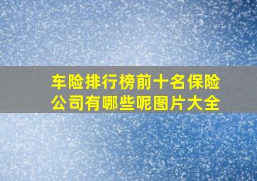 车险排行榜前十名保险公司有哪些呢图片大全