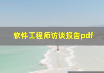 软件工程师访谈报告pdf