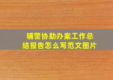 辅警协助办案工作总结报告怎么写范文图片