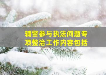 辅警参与执法问题专项整治工作内容包括