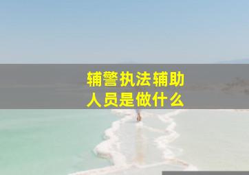 辅警执法辅助人员是做什么