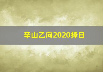 辛山乙向2020择日