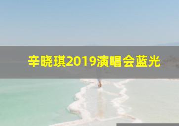 辛晓琪2019演唱会蓝光