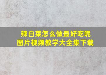 辣白菜怎么做最好吃呢图片视频教学大全集下载