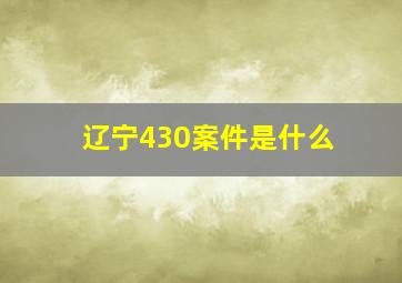 辽宁430案件是什么