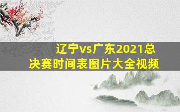 辽宁vs广东2021总决赛时间表图片大全视频