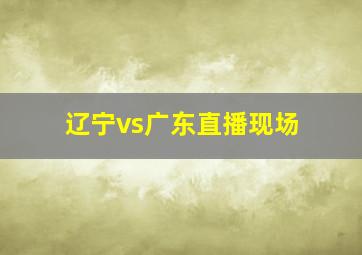 辽宁vs广东直播现场