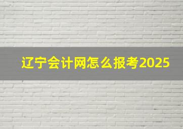 辽宁会计网怎么报考2025