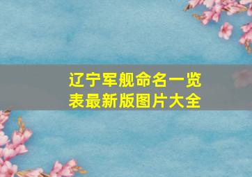 辽宁军舰命名一览表最新版图片大全