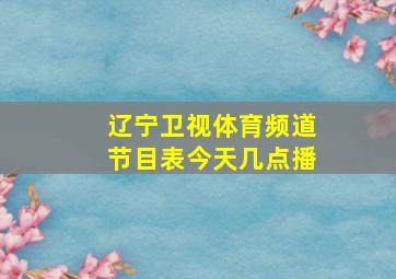 辽宁卫视体育频道节目表今天几点播