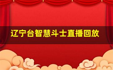 辽宁台智慧斗士直播回放