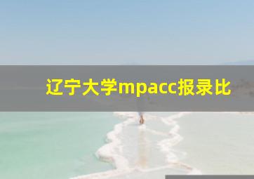 辽宁大学mpacc报录比