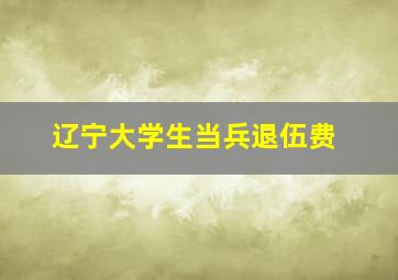 辽宁大学生当兵退伍费